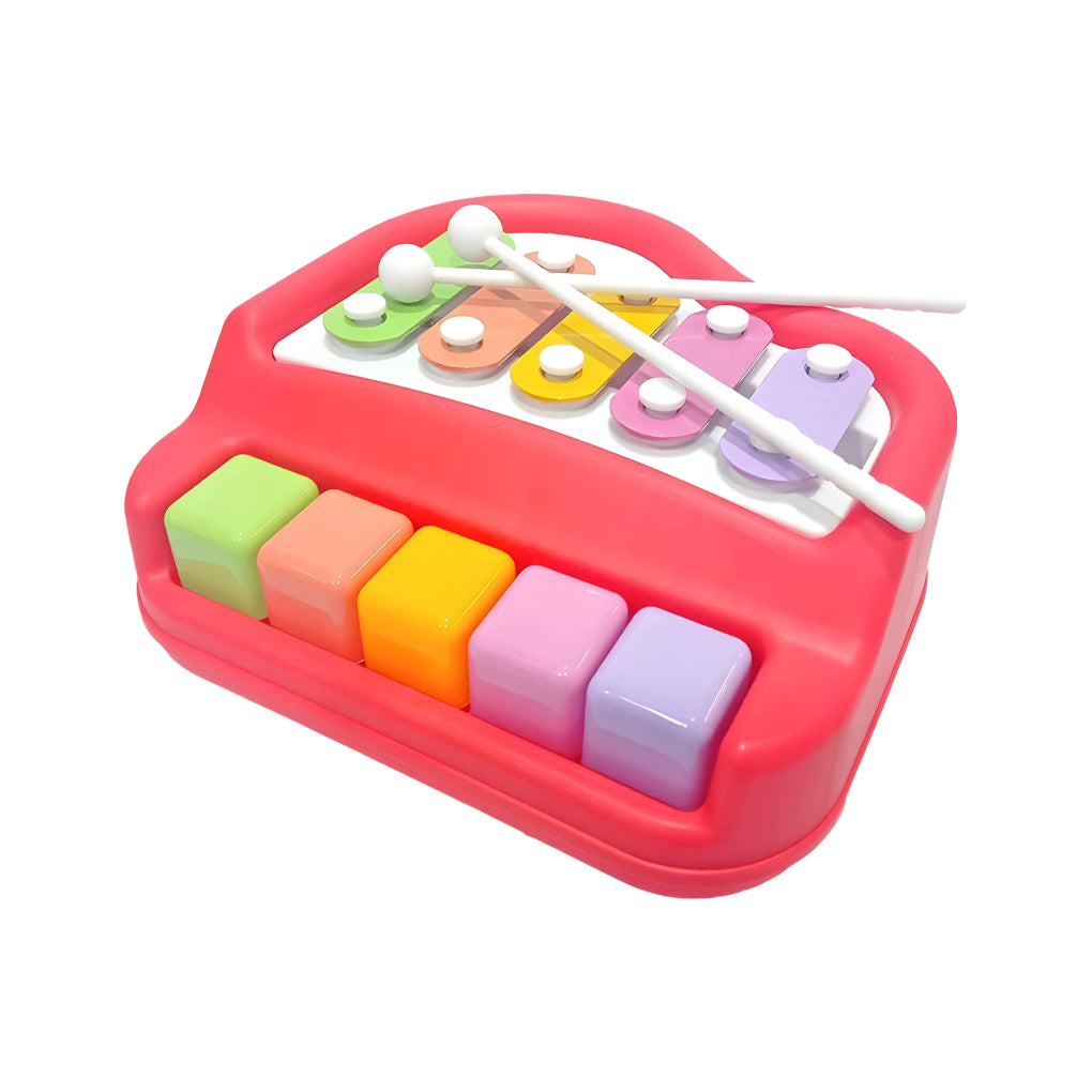 5 Colorful Keys Musical 2 in 1 Xylophone and Mini Piano Toys for 3-5 Year Old Boys Girls and Toddlers