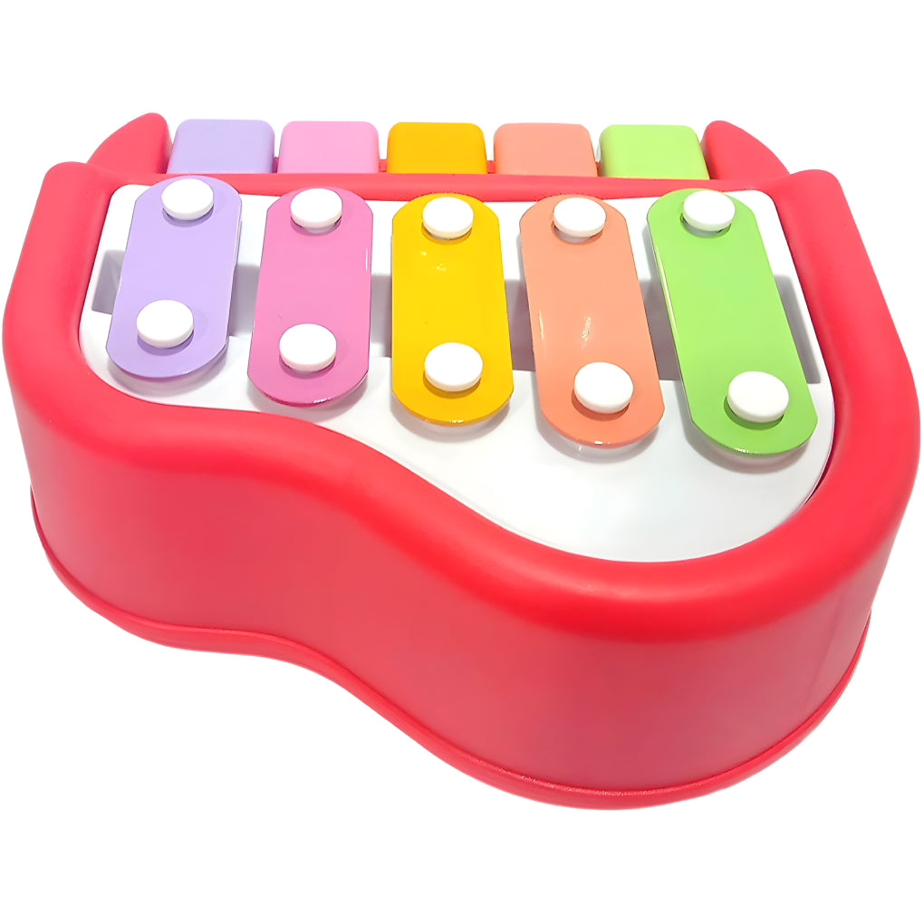 5 Colorful Keys Musical 2 in 1 Xylophone and Mini Piano Toys for 3-5 Year Old Boys Girls and Toddlers