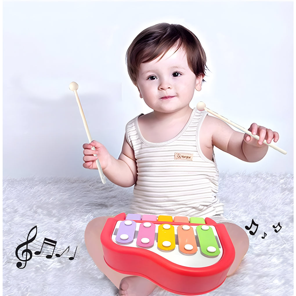 5 Colorful Keys Musical 2 in 1 Xylophone and Mini Piano Toys for 3-5 Year Old Boys Girls and Toddlers