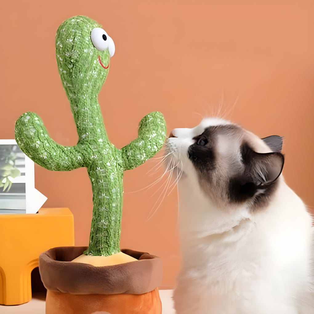 Cactus Talking Toy for Kids Dancing Cactus Toys Can Sing Wriggle & Singing Recording Repeat What You Say Funny Education Toys Playing Home Decor Items for Kids