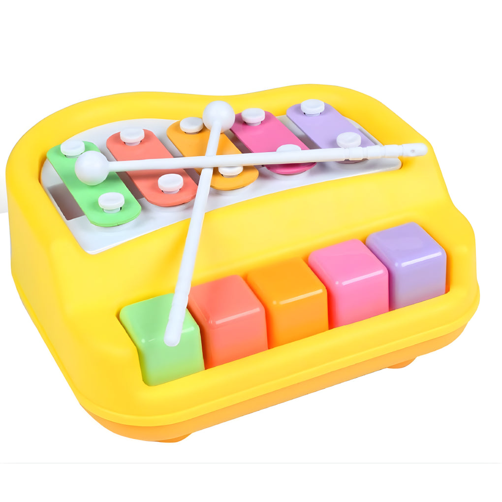 5 Colorful Keys Musical 2 in 1 Xylophone and Mini Piano Toys for 3-5 Year Old Boys Girls and Toddlers