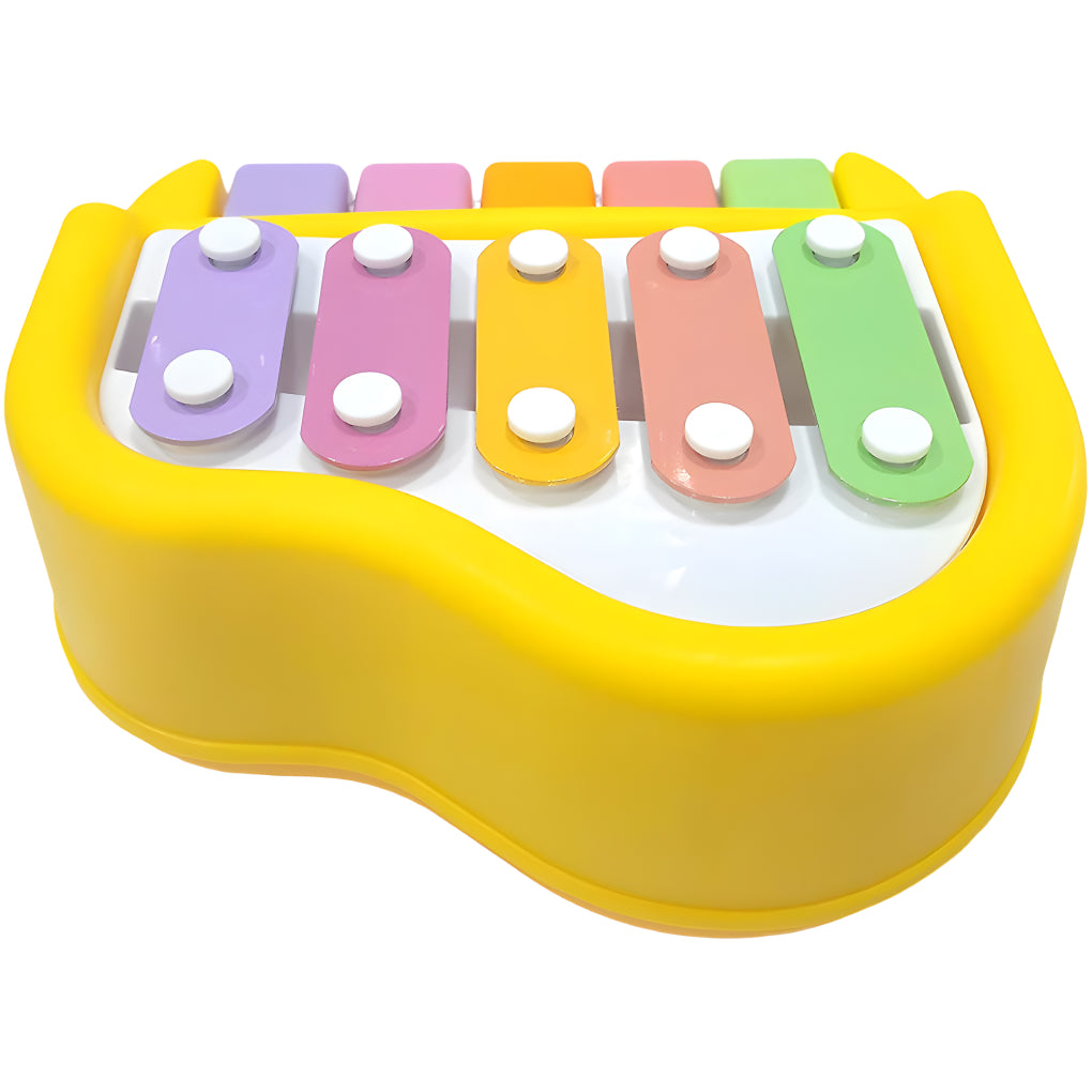 5 Colorful Keys Musical 2 in 1 Xylophone and Mini Piano Toys for 3-5 Year Old Boys Girls and Toddlers