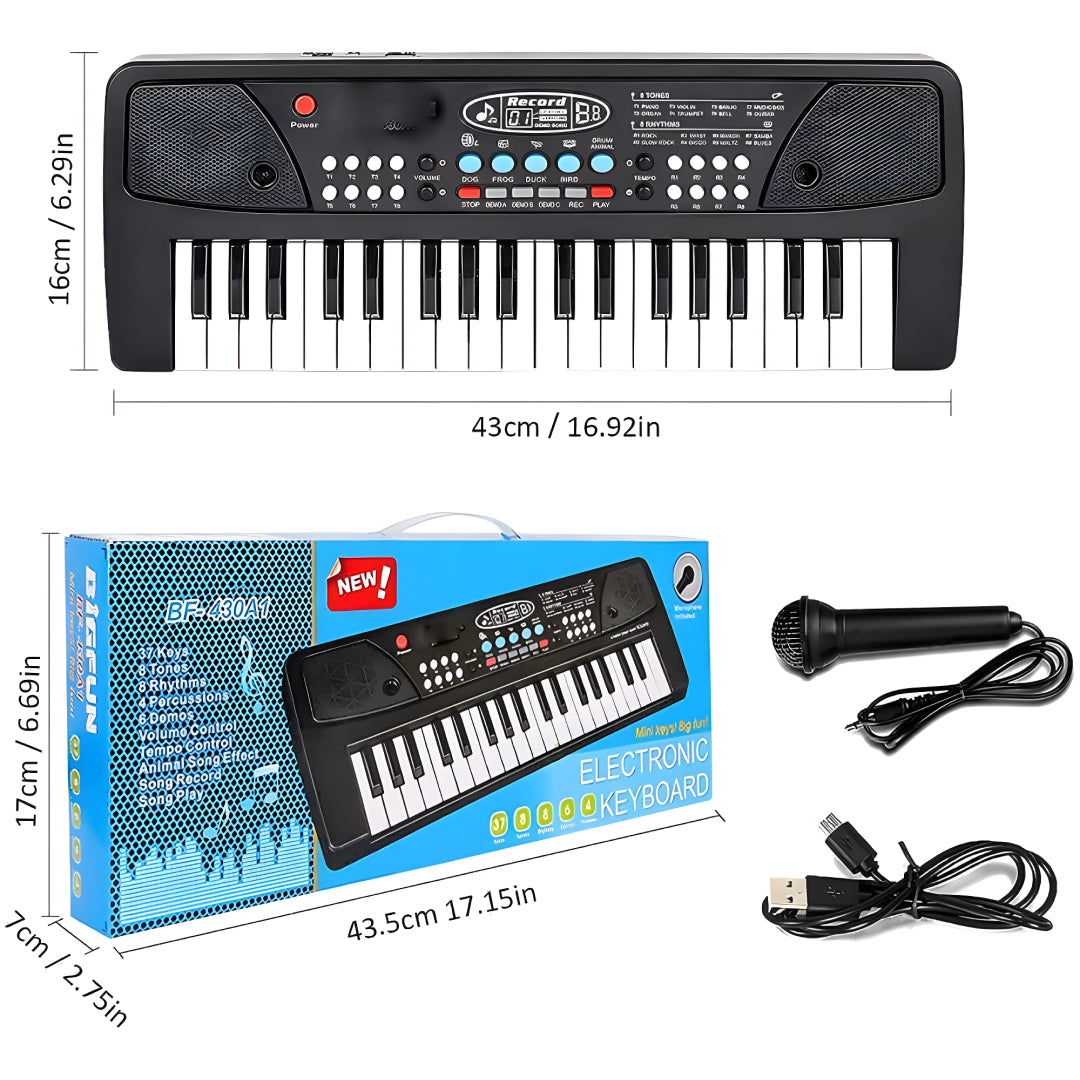 Piano Keyboard Recording Microphone with wire, Electronics Piano Keyboard Multi-Function Portable Piano Keyboard Musical Toy