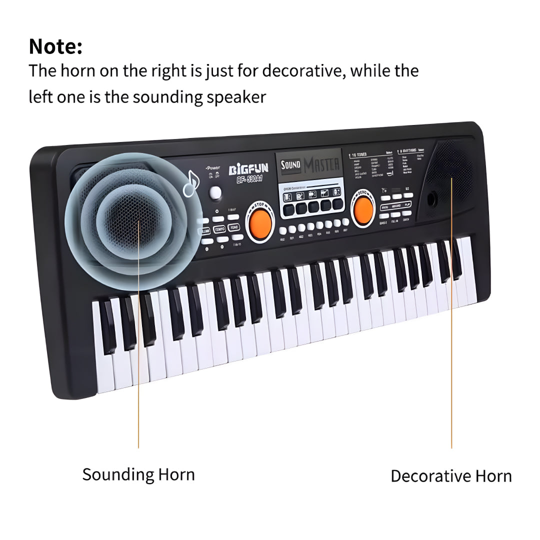 Piano Keyboard Recording Microphone with wire, Electronics Piano Keyboard Multi-Function Portable Piano Keyboard Musical Toy